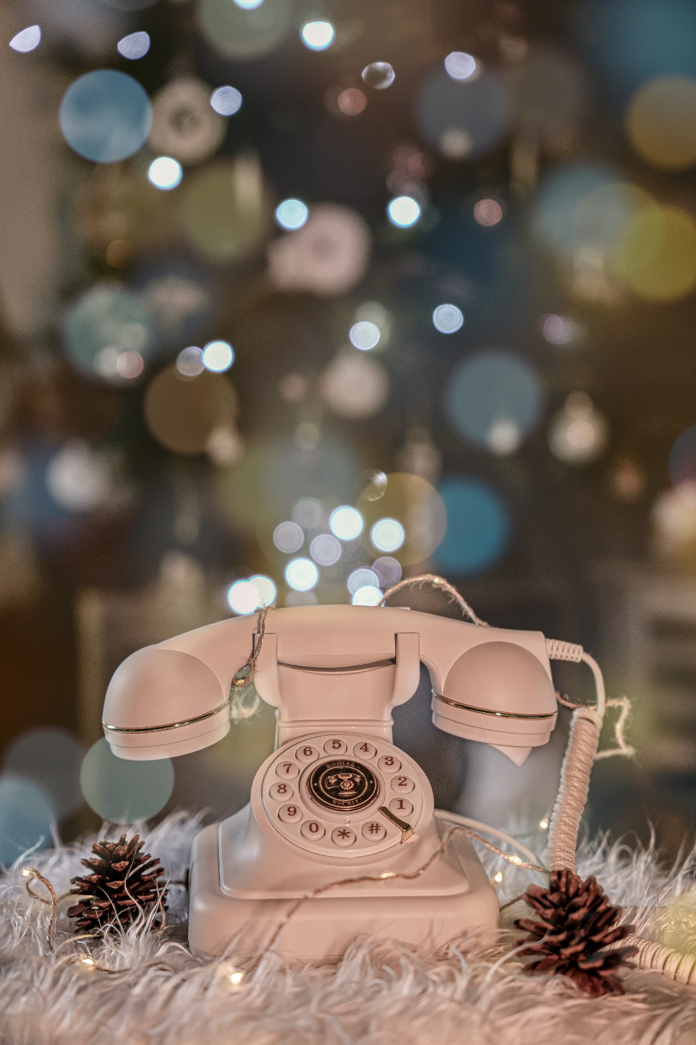 location livre d'or audio valence drome ardeche